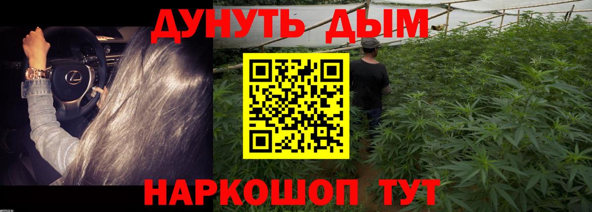 МАРИХУАНА AK-47  Бошки марихуана THC 21%  Миллерово  Вход с VPN  Бошки Шишки OG Kush  Бошки марихуана семена 